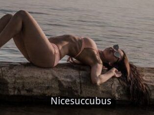 Nicesuccubus