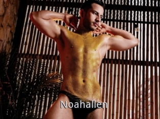 Noahallen