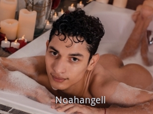 Noahangell