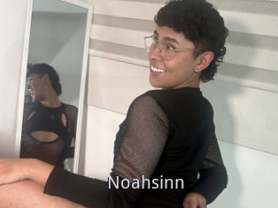 Noahsinn