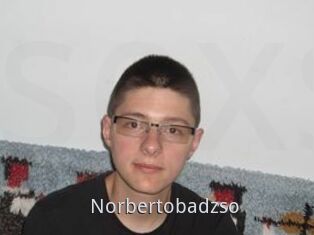 Norbertobadzso