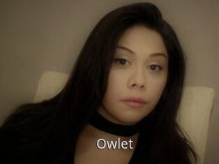 _Owlet_