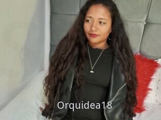 Orquidea18