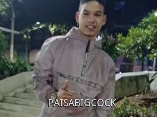 PAISABIGCOCK