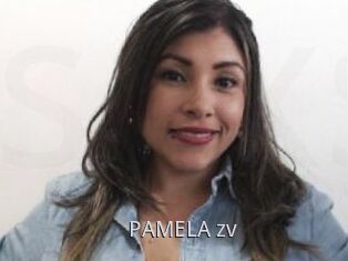 PAMELA_zv