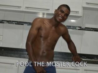 POOL_THE_MOSTER_COCK