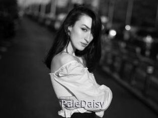 PaleDaisy