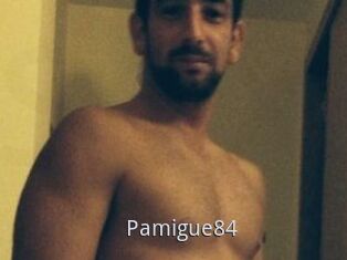 Pamigue84