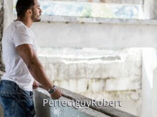 PerfectguyRobert