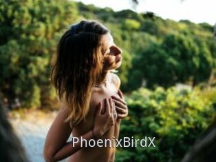 PhoenixBirdX