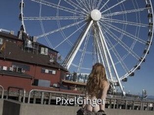 PixelGinger