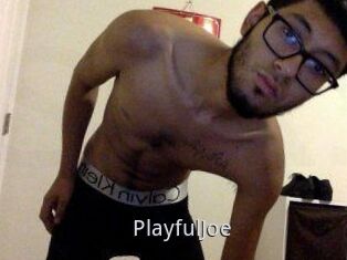 PlayfulJoe