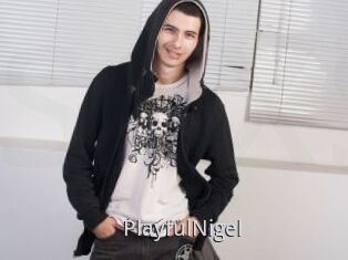 PlayfulNigel