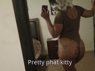 Pretty_phat_kitty
