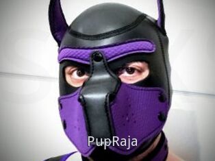 PupRaja