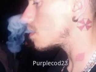 Purplecod23