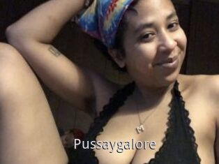 Pussaygalore