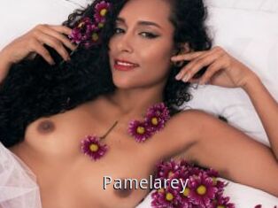 Pamelarey