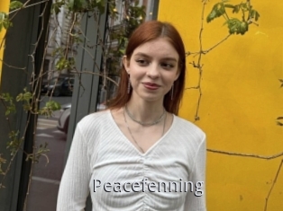 Peacefenning
