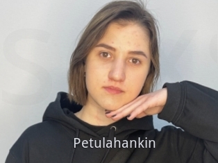 Petulahankin