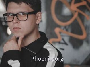 Phoenixzorg