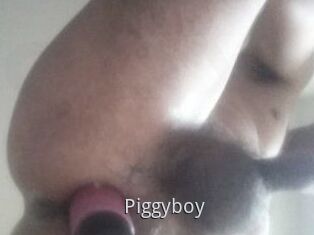 Piggyboy