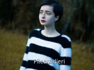 Pileacadieri