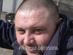Pituliciul-06105006