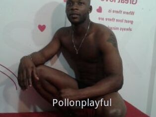 Pollonplayful
