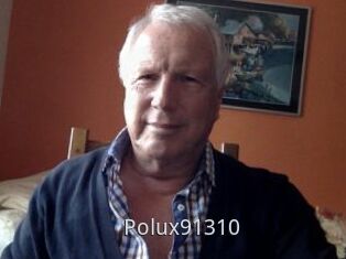 Polux91310