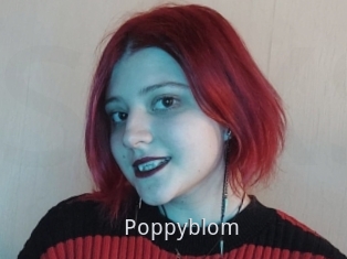 Poppyblom