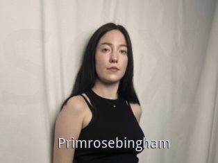 Primrosebingham