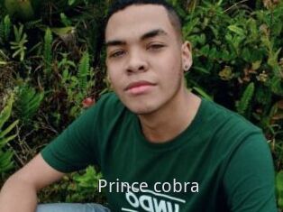 Prince_cobra