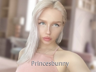 Princesbunny