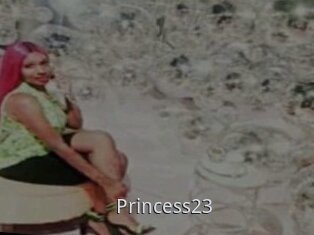 Princess23