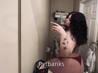 Pytbanks