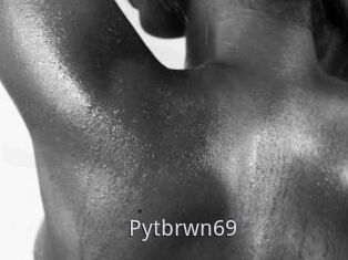 Pytbrwn69