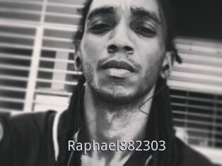 Raphael882303