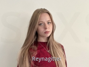 Reynagitter