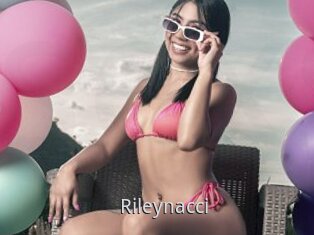 Rileynacci