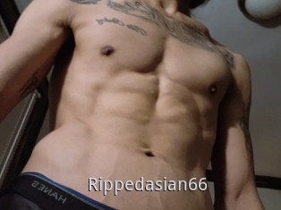 Rippedasian66