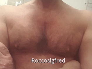 Roccosigfred