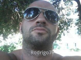Rodrigo77