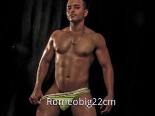 Romeobig22cm