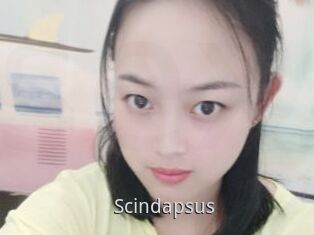 Scindapsus