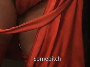 Somebitch