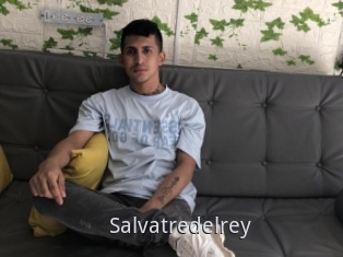 Salvatredelrey