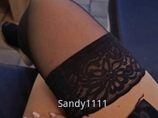 Sandy1111