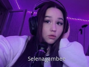 Selenagambee