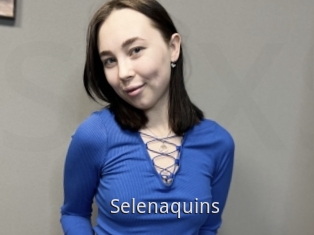 Selenaquins